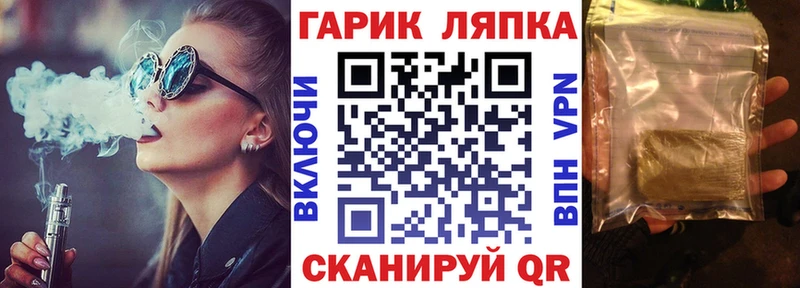 ГАШ Premium  Купить где  Кедровый 