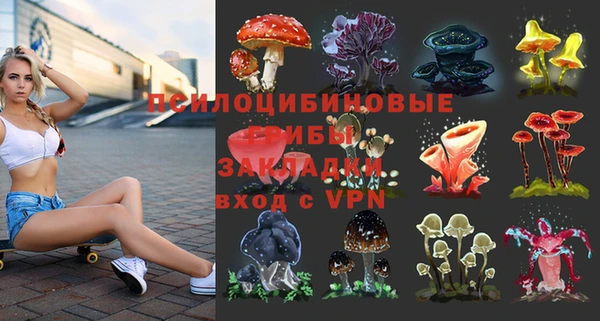 крисы Дмитровск