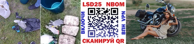 Купить  Кедровый  LSD-25 экстази ecstasy 